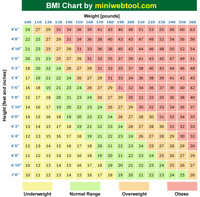 BMI标准